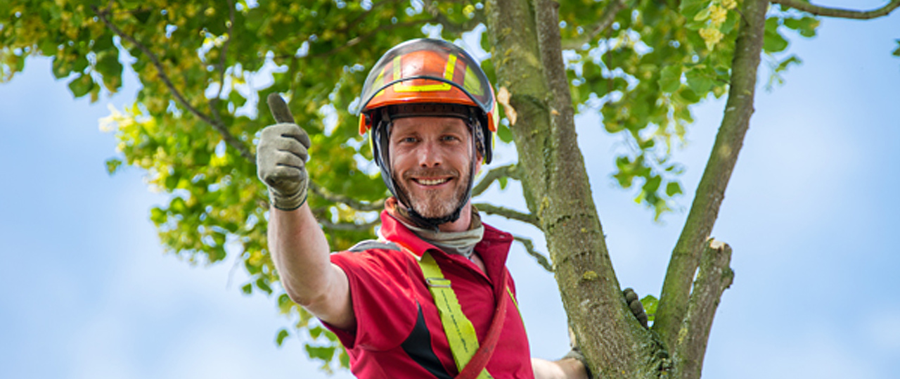 Oliver Krampe und Team bei der Gartenarbeit